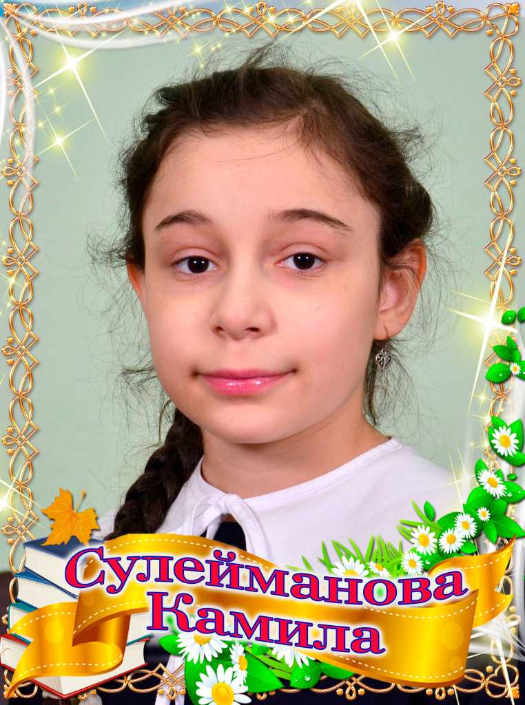 Сулейманова Камила.